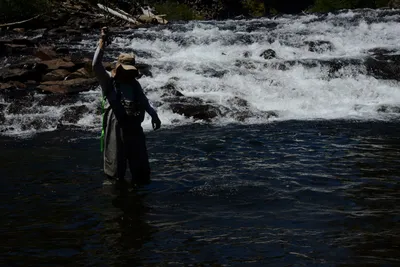 DSC_9929 (Large).JPG